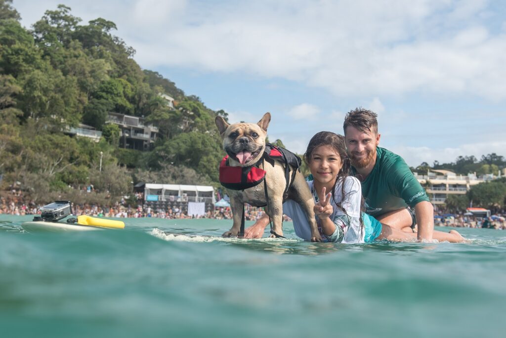 A smiling man, a young girl making a peace sign, and a happy French Bulldog wearing a life vest are on a surfboard in the ocean near a crowded beach with trees and houses in the background.