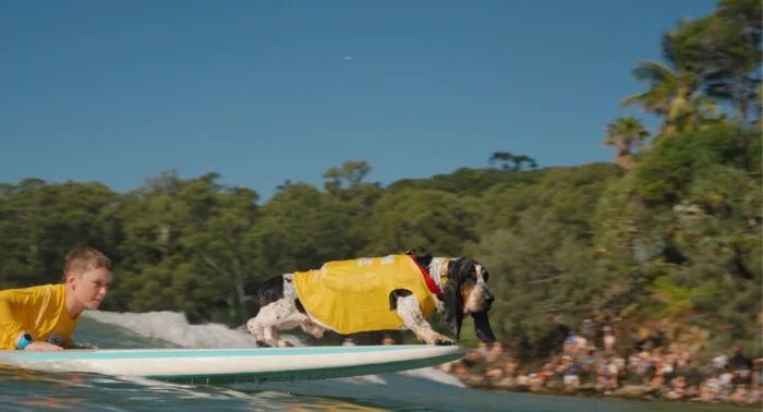 VetShopAustralia Surfing Dog Championships – Sat 14 March