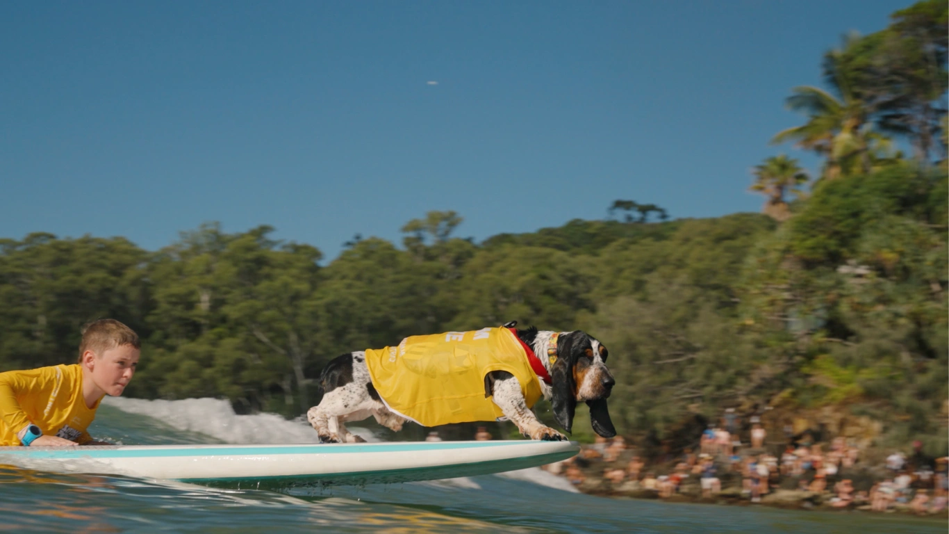 VetShopAustralia Surfing Dog Championships – Sat 14 March