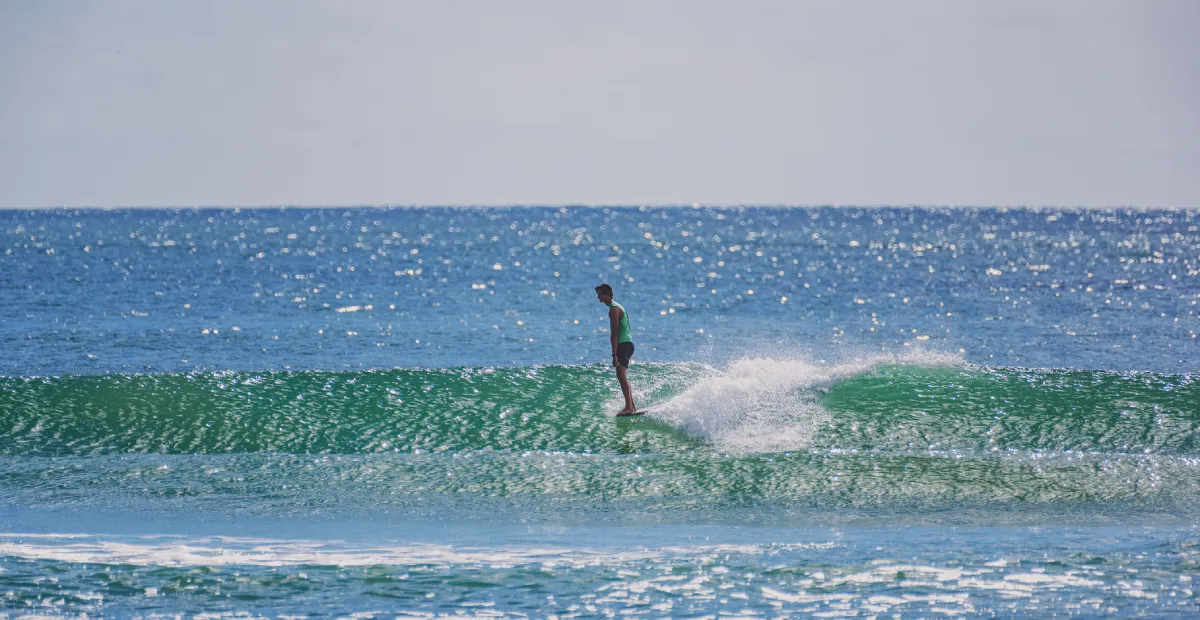 A surfer in a green shirt rides a small, clear wave on a blue ocean, standing near the front of the surfboard. Spray rises behind the board under a sunny sky.