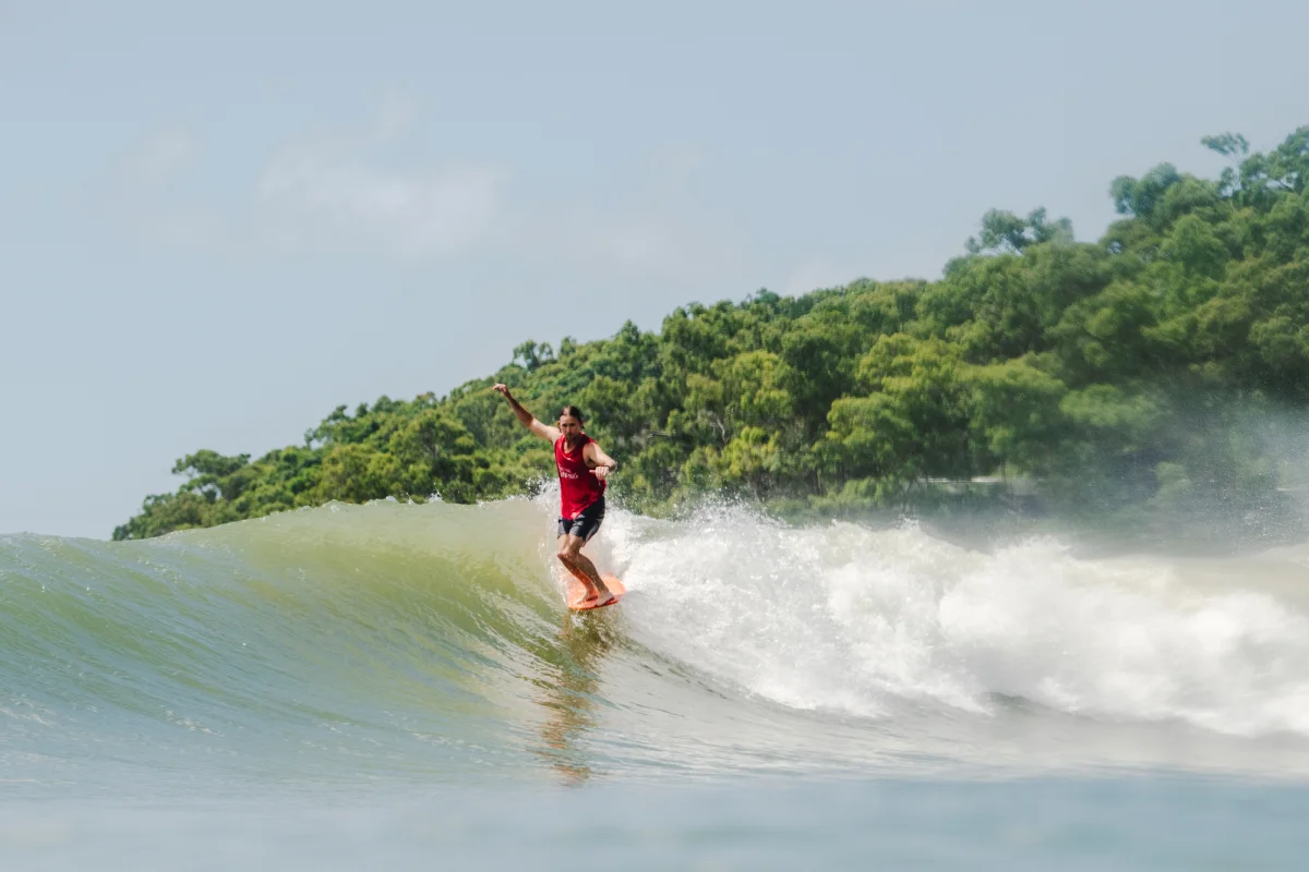 A person in a red shirt is surfing on a wave near a lush, green shoreline under a clear sky. The surfer balances on the board with arms outstretched, riding the crest of the wave.