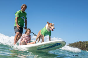 VetShopAustralia’s 2025 Dog Surfing Championships