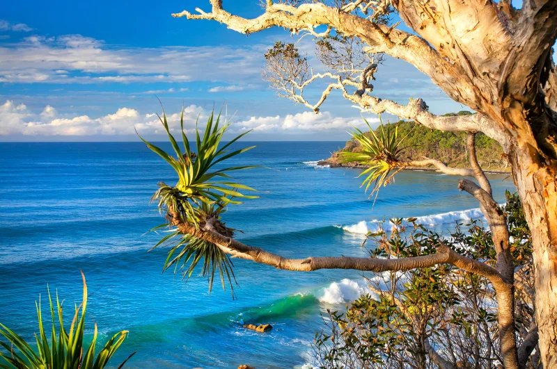 A scenic coastal view with turquoise waves rolling towards the shore, a rocky outcrop in the water, and a pandanus tree with spiky leaves framing the foreground under a blue sky with scattered clouds.